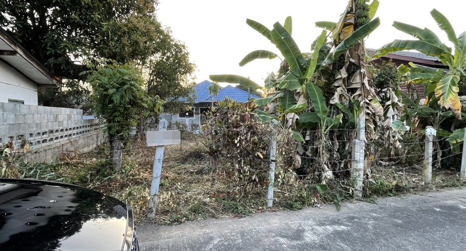 For sale land in Chiang Khong, Chiang Rai