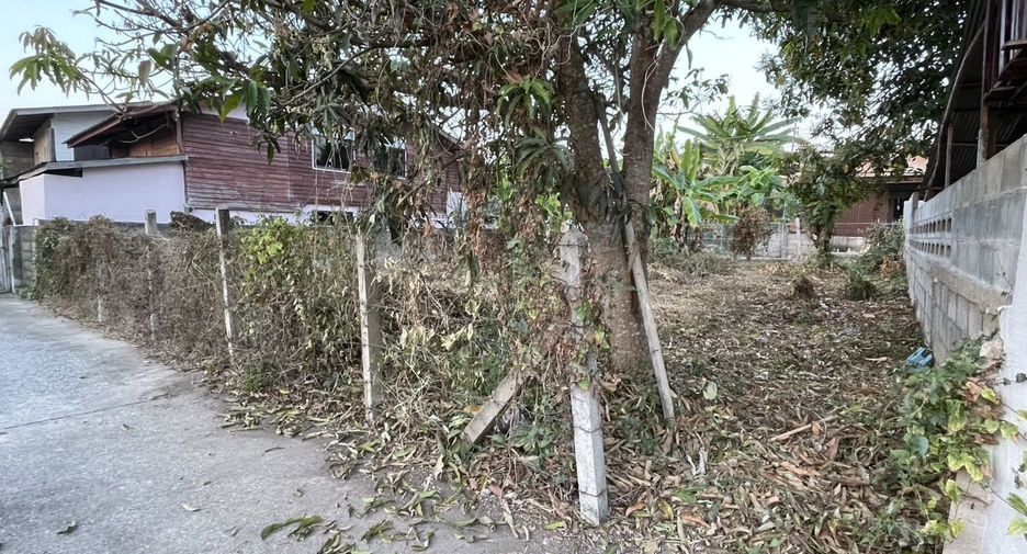 For sale land in Chiang Khong, Chiang Rai
