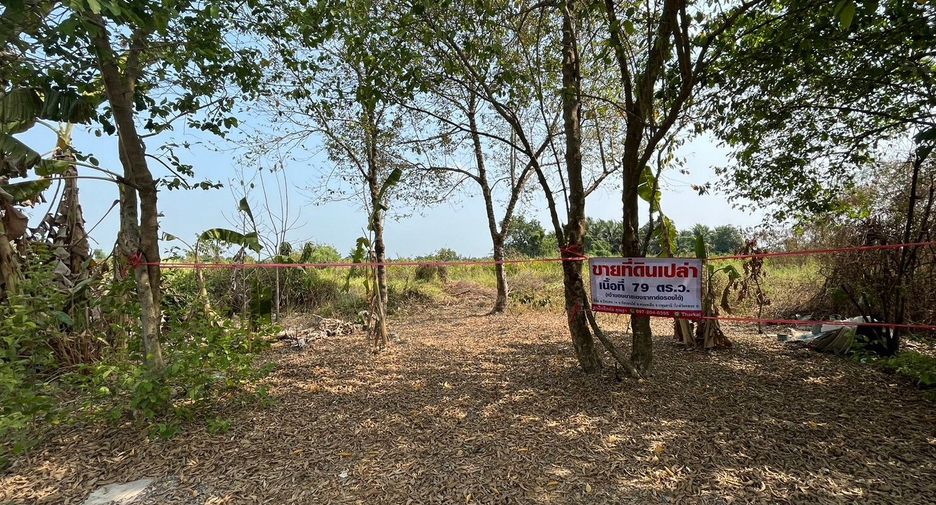 Terreno en venta en Nong Suea, Pathum Thani