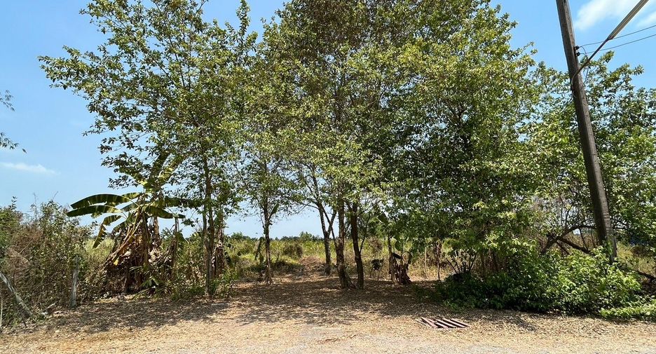 Terreno en venta en Nong Suea, Pathum Thani