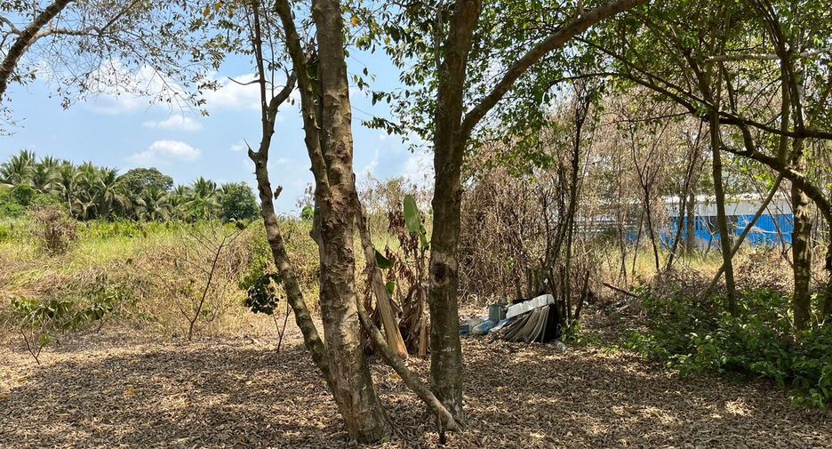 Terreno en venta en Nong Suea, Pathum Thani