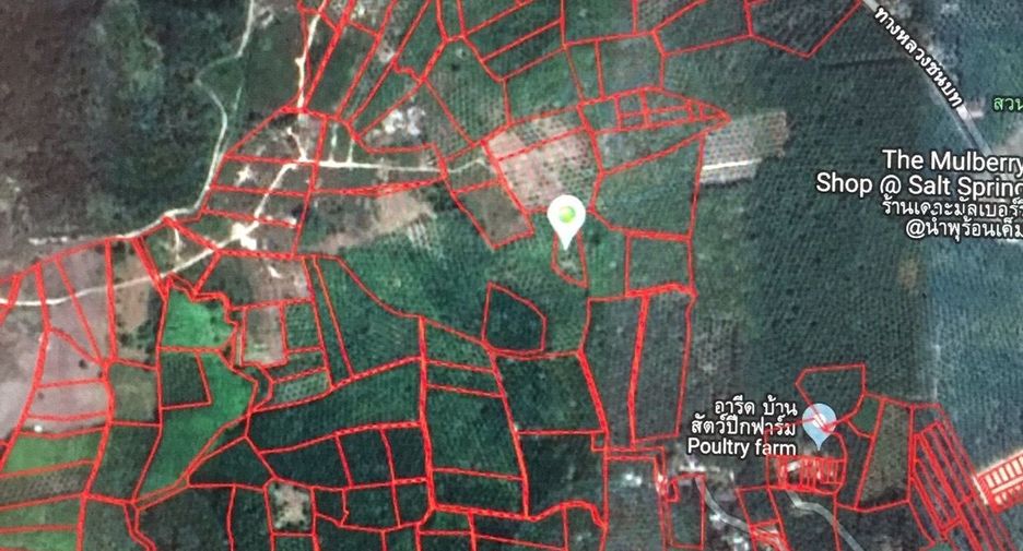 For sale land in Khlong Thom, Krabi