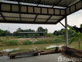 Terreno en venta en Kamphaeng Saen, Nakhon Pathom