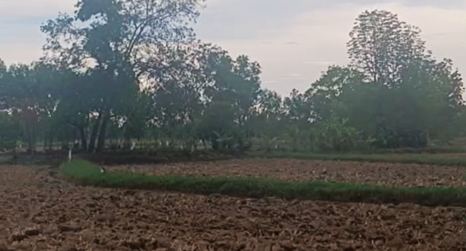 Terreno en venta en Pak Thong Chai, Nakhon Ratchasima