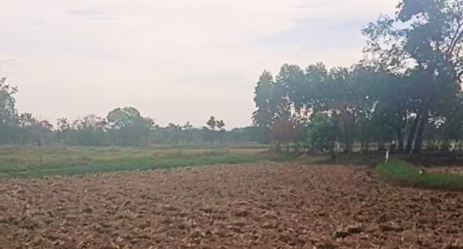 Terreno en venta en Pak Thong Chai, Nakhon Ratchasima