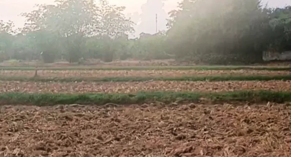 Terreno en venta en Pak Thong Chai, Nakhon Ratchasima