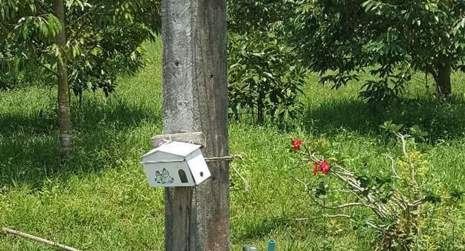 For sale land in Klaeng, Rayong
