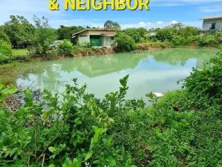 出售 土地 在 Klaeng, Rayong