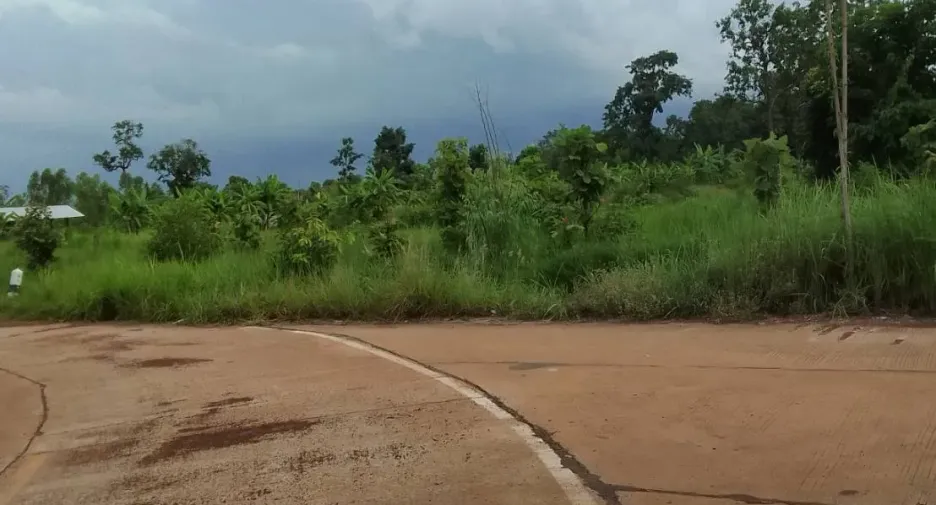 For sale land in Charoen Sin, Sakon Nakhon
