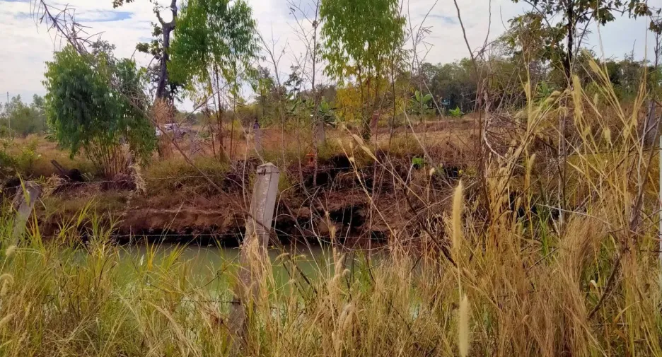 For sale land in Charoen Sin, Sakon Nakhon