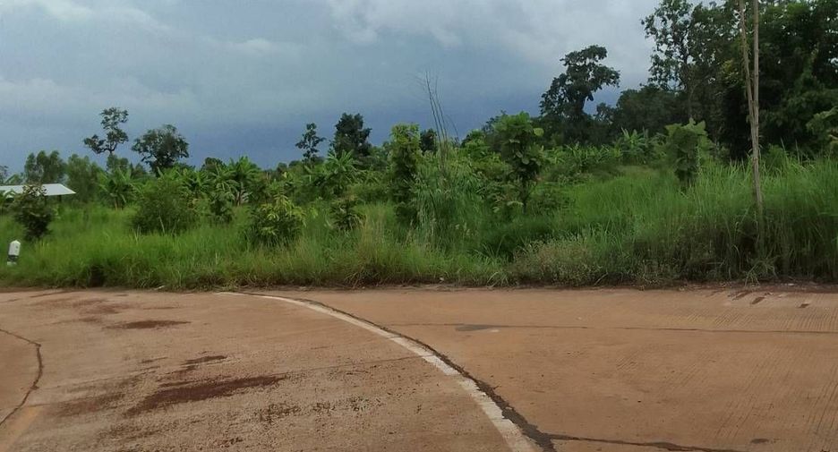 For sale land in Charoen Sin, Sakon Nakhon