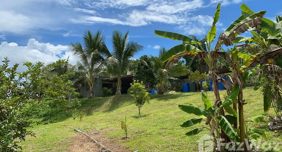 Terreno en venta en Wiang Chiang Rung, Chiang Rai