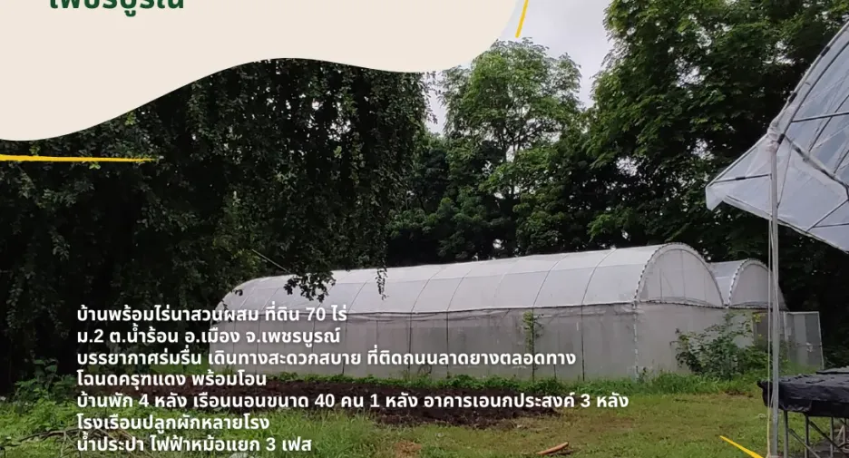 For sale land in Mueang Phetchabun, Phetchabun