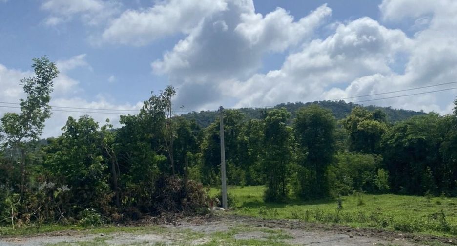 For sale land in U Thong, Suphan Buri