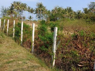 For sale land in Hua Sai, Nakhon Si Thammarat