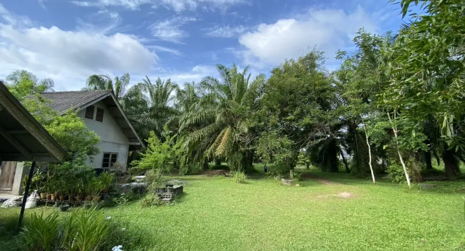 For sale land in Ban Na Doem, Surat Thani