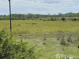 出售 土地 在 Si Songkhram, Nakhon Phanom