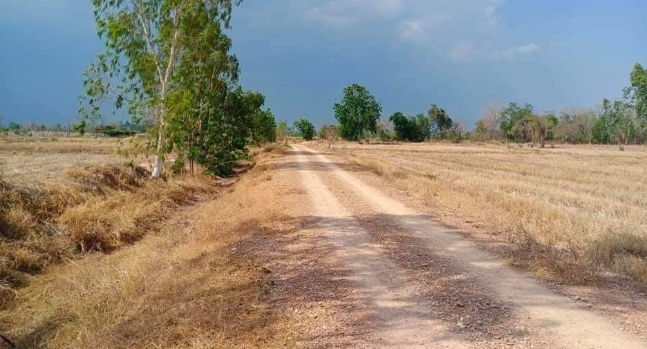 Grundstück zum Kauf in Hankha, Chainat