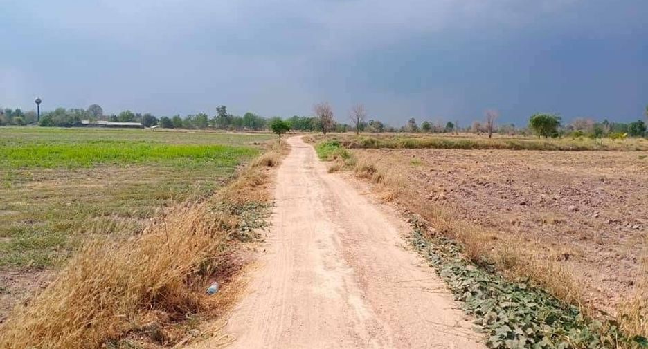 Grundstück zum Kauf in Hankha, Chainat