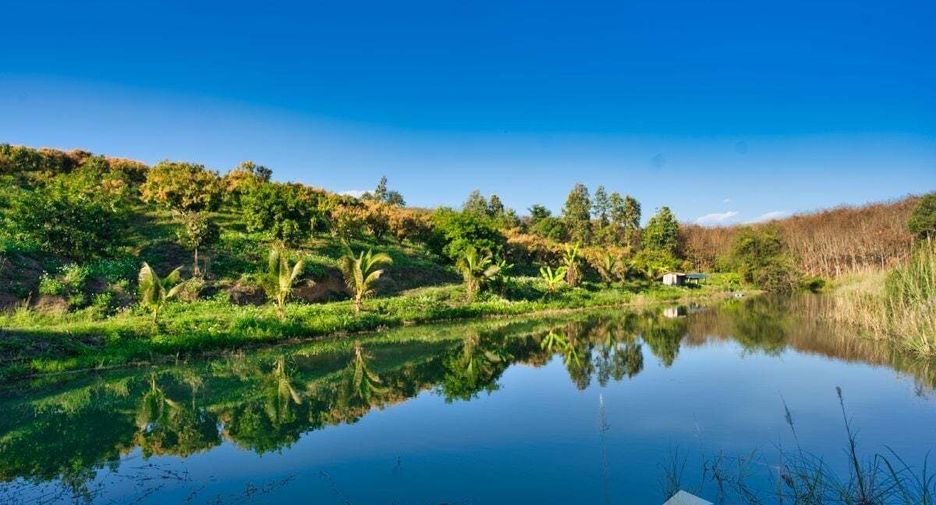 For sale land in Chai Prakan, Chiang Mai