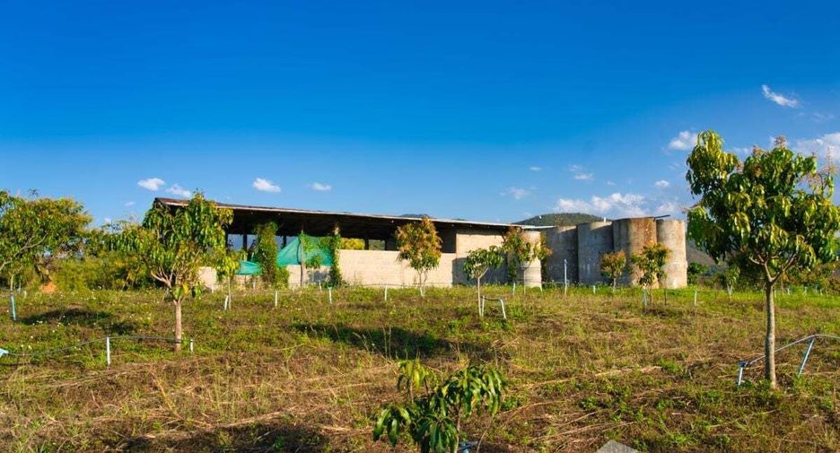 For sale land in Chai Prakan, Chiang Mai