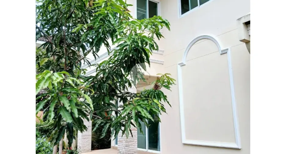 For sale and for rent 3 bedrooms house in Mueang Chiang Rai, Chiang Rai