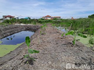 For sale land in Thawi Watthana, Bangkok