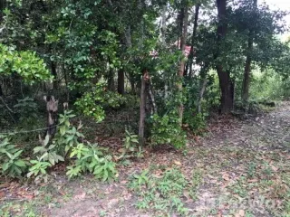 À vendre terrain à Phibun Mangsahan, Ubon Ratchathani