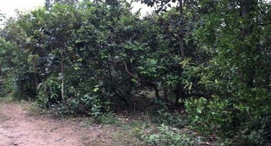 For sale land in Phibun Mangsahan, Ubon Ratchathani