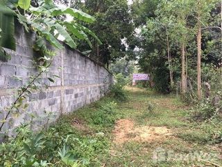À vendre terrain à Phibun Mangsahan, Ubon Ratchathani