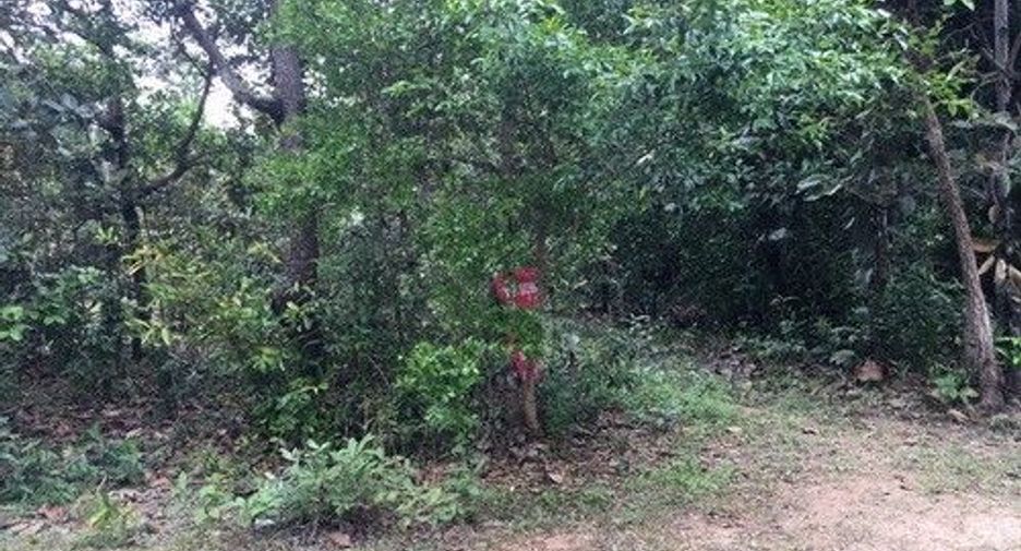 For sale land in Phibun Mangsahan, Ubon Ratchathani