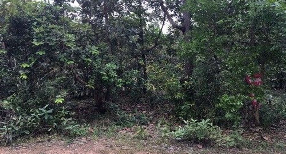 For sale land in Phibun Mangsahan, Ubon Ratchathani