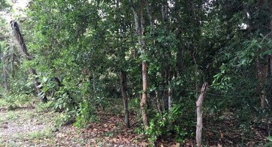 For sale land in Phibun Mangsahan, Ubon Ratchathani