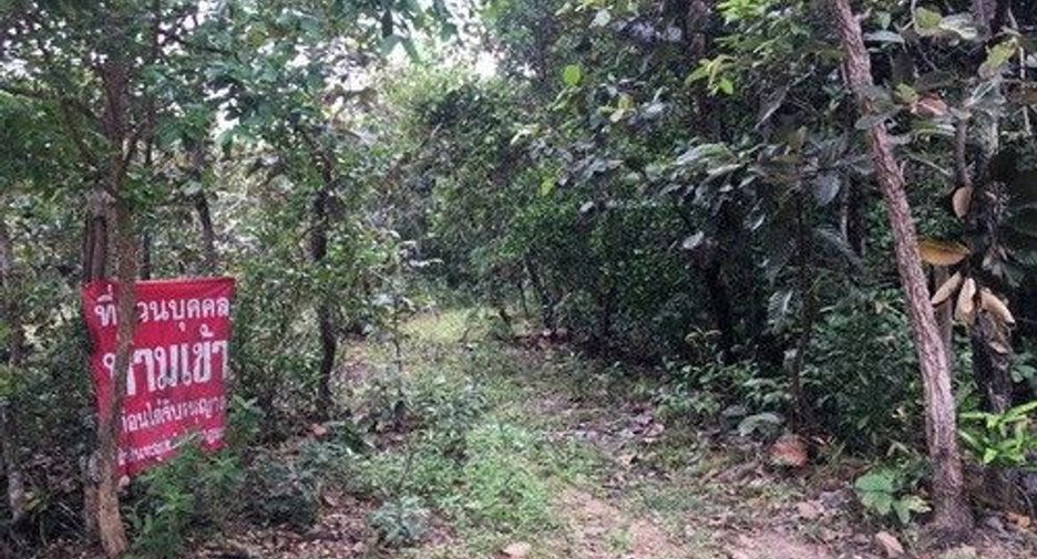 For sale land in Phibun Mangsahan, Ubon Ratchathani