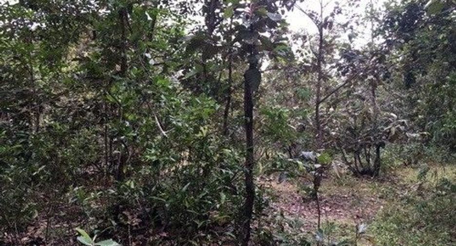 For sale land in Phibun Mangsahan, Ubon Ratchathani