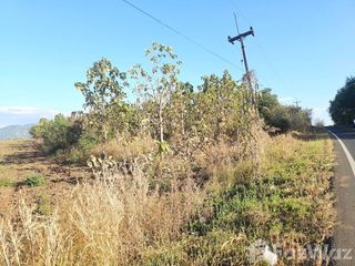 出售 土地 在 Mueang Phetchabun, Phetchabun