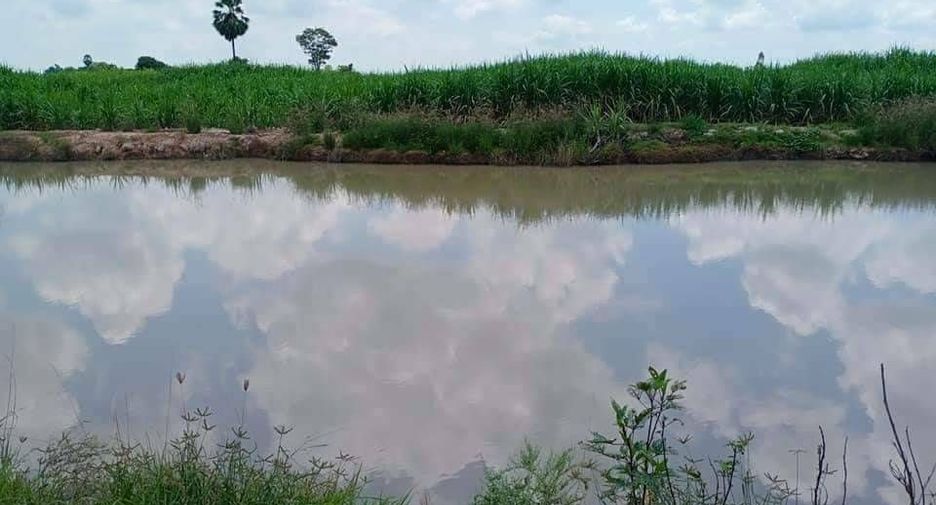 For sale land in Noen Kham, Chainat