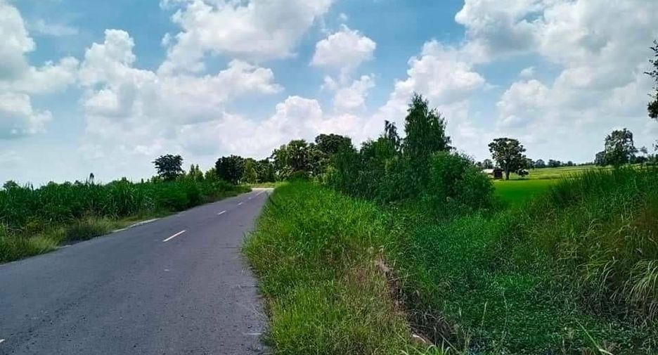 For sale land in Noen Kham, Chainat