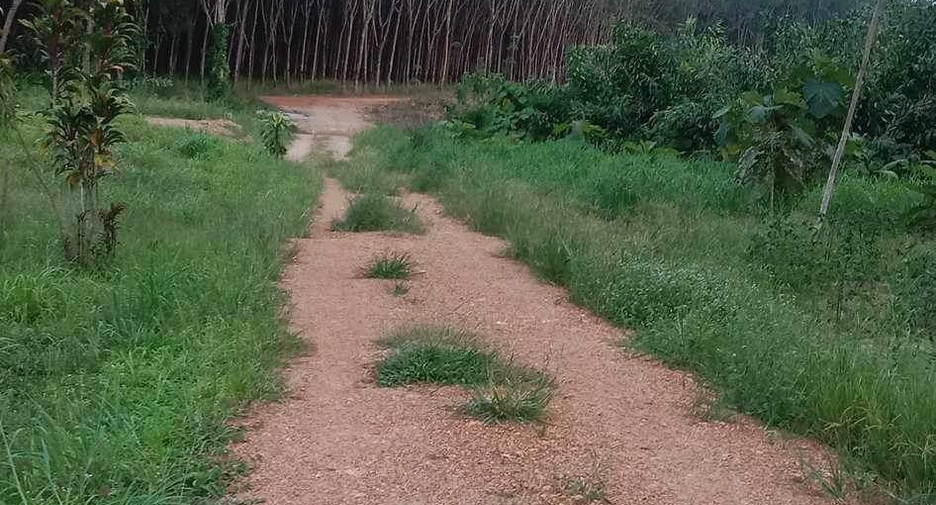 For sale land in Khao Chamao, Rayong