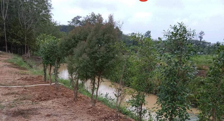 For sale land in Khao Chamao, Rayong