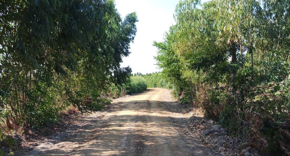 Terreno en venta en Phimai, Nakhon Ratchasima
