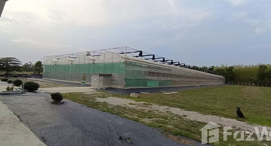 Продажа 3 спальни дом в Nong Phai, Phetchabun