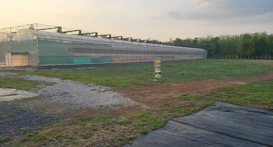 Продажа 3 спальни дом в Nong Phai, Phetchabun