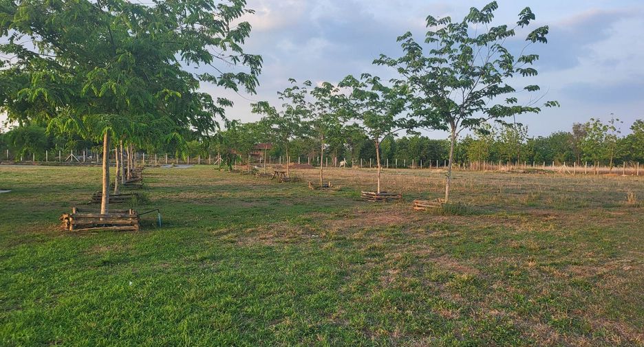 For sale 3 bedrooms house in Nong Phai, Phetchabun