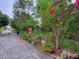 出售 土地 在 Mueang Chon Buri, Chon Buri