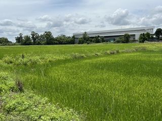 For sale land in Banphot Phisai, Nakhon Sawan