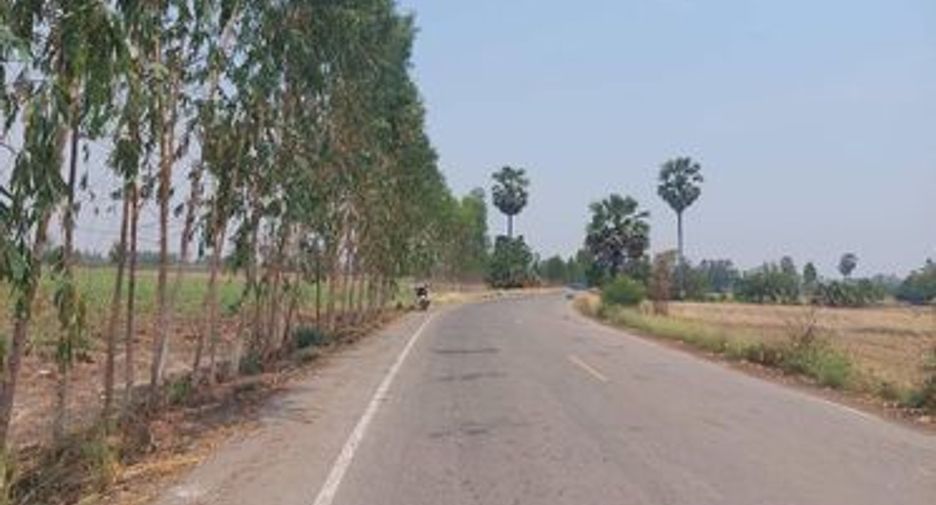 For sale land in Noen Kham, Chainat
