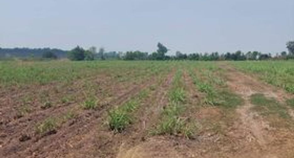 For sale land in Noen Kham, Chainat
