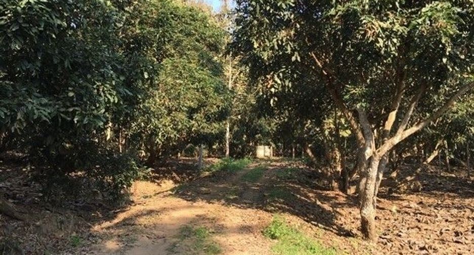 For sale land in Wiang Chiang Rung, Chiang Rai