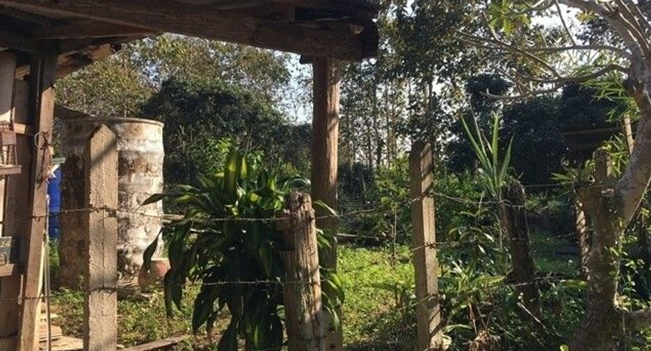 For sale land in Wiang Chiang Rung, Chiang Rai